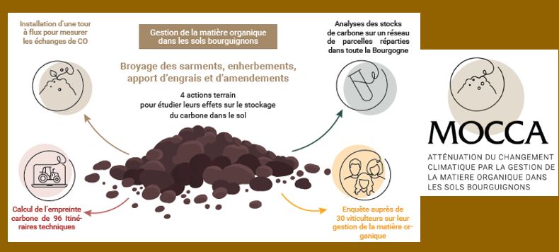 les vins de Bourgogne évaluent leur capacité de stockage du carbone